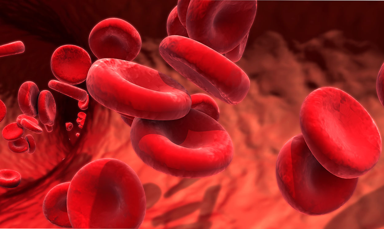 Das Blut muss ordentlich fließen!